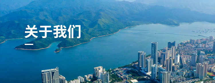 公司简介